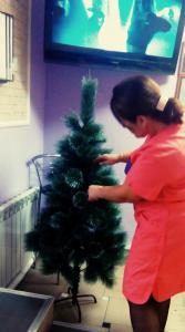 Фотография Сливки 1