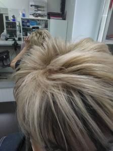 Фотография ЭДЕМ 0