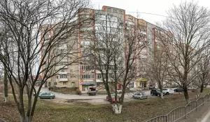 Фотография Дева 4
