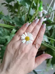 Фотография Лак студия 4