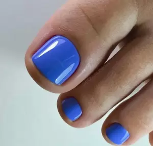 Фотография Plastina 5