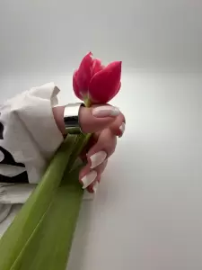 Фотография Ms owl nails 0